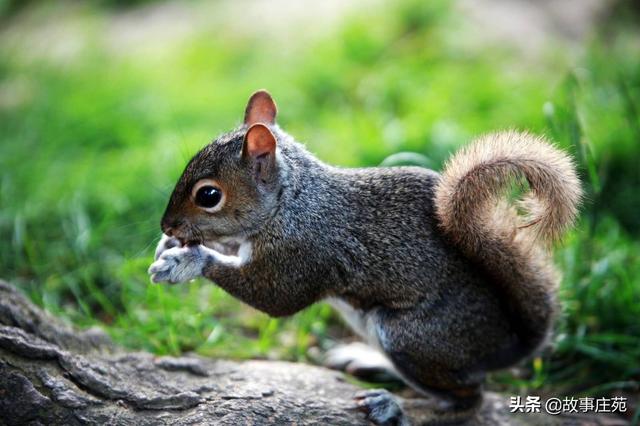 小孩子讲故事_小孩子讲故事的软件哪个比较好