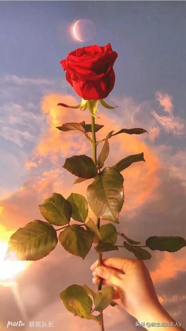 小学生有声故事_小学生有声故事视频