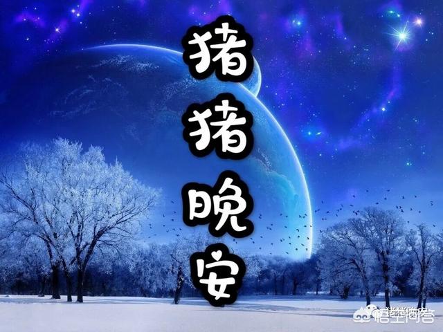 哄女友睡前浪漫爱情故事_哄女友睡前浪漫爱情故事短篇